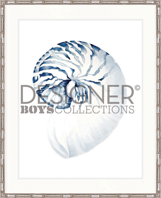 "Designer Boys Collections" Exquisite Shell II Indigo Blue Artwork, Careel Bay Shell Collection - Image 2