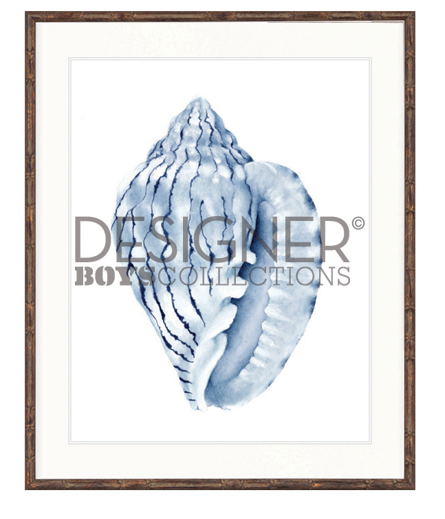 "Designer Boys Collections" Exquisite Shell V Indigo Blue Artwork, Careel Bay Shell Collection - Image 3