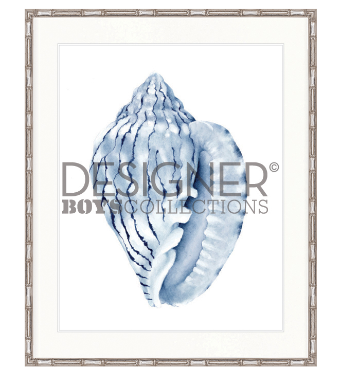 "Designer Boys Collections" Exquisite Shell V Indigo Blue Artwork, Careel Bay Shell Collection - Image 2