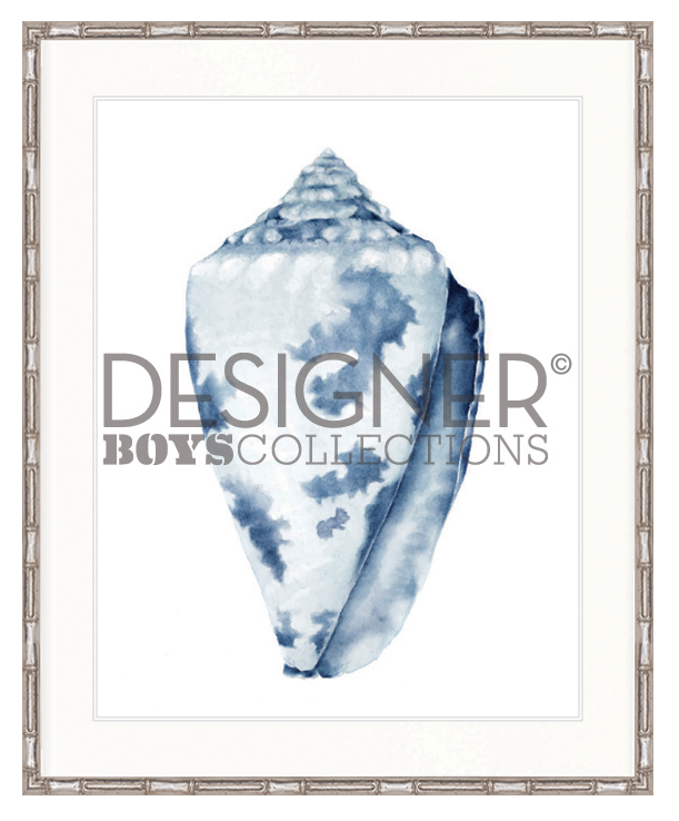 "Designer Boys Collections" Exquisite Shell I Indigo Blue Artwork, Careel Bay Shell Collection - Image 2