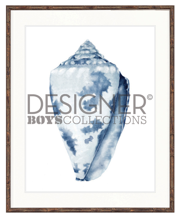 "Designer Boys Collections" Exquisite Shell I Indigo Blue Artwork, Careel Bay Shell Collection - Image 4