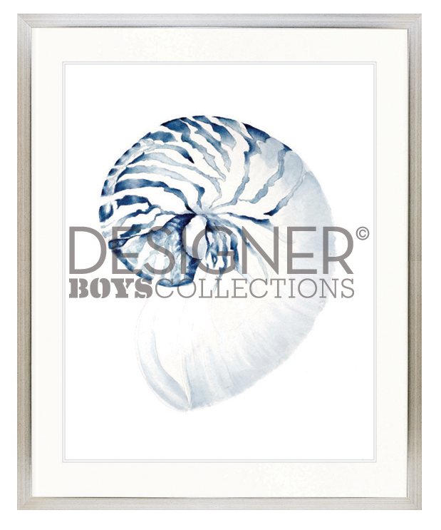 "Designer Boys Collections" Exquisite Shell II Indigo Blue Artwork, Careel Bay Shell Collection - Image 3