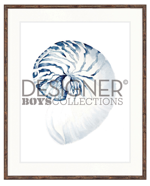 "Designer Boys Collections" Exquisite Shell II Indigo Blue Artwork, Careel Bay Shell Collection - Image 4
