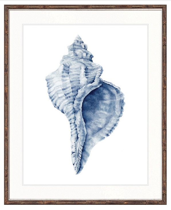 "Designer Boys Collections" Exquisite Shell III Indigo Blue Artwork, Careel Bay Shell Collection - Image 2