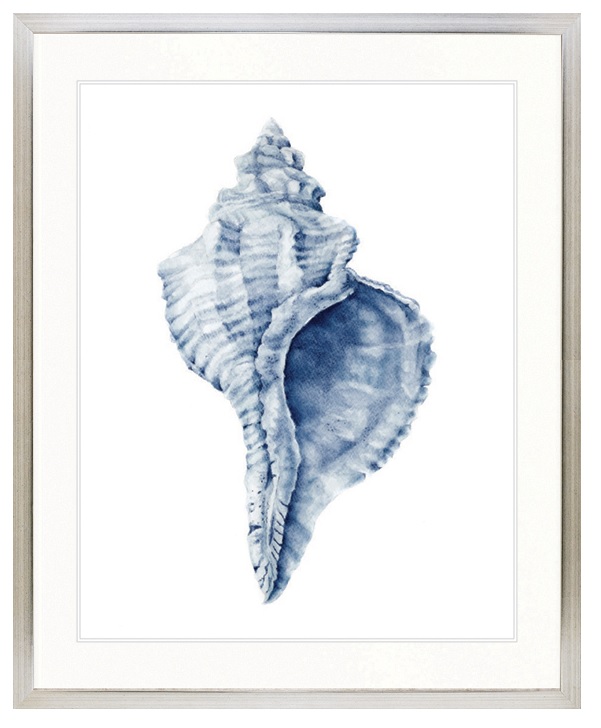 "Designer Boys Collections" Exquisite Shell III Indigo Blue Artwork, Careel Bay Shell Collection - Image 3