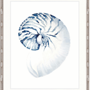 "Designer Boys Collections" Exquisite Shell II Indigo Blue Artwork, Careel Bay Shell Collection