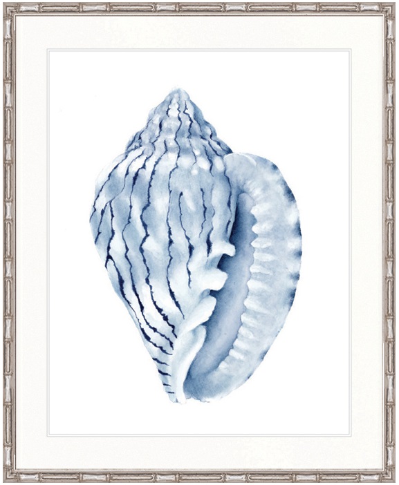 "Designer Boys Collections" Exquisite Shell V Indigo Blue Artwork, Careel Bay Shell Collection