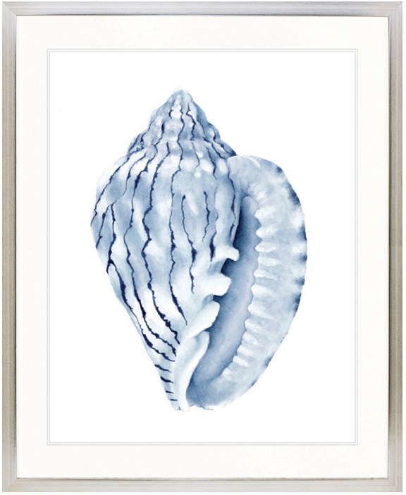 "Designer Boys Collections" Exquisite Shell V Indigo Blue Artwork, Careel Bay Shell Collection - Image 6