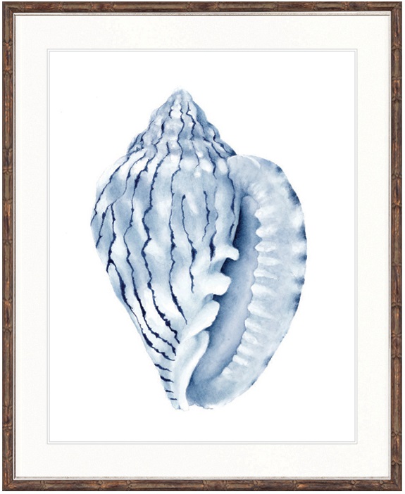 "Designer Boys Collections" Exquisite Shell V Indigo Blue Artwork, Careel Bay Shell Collection - Image 7