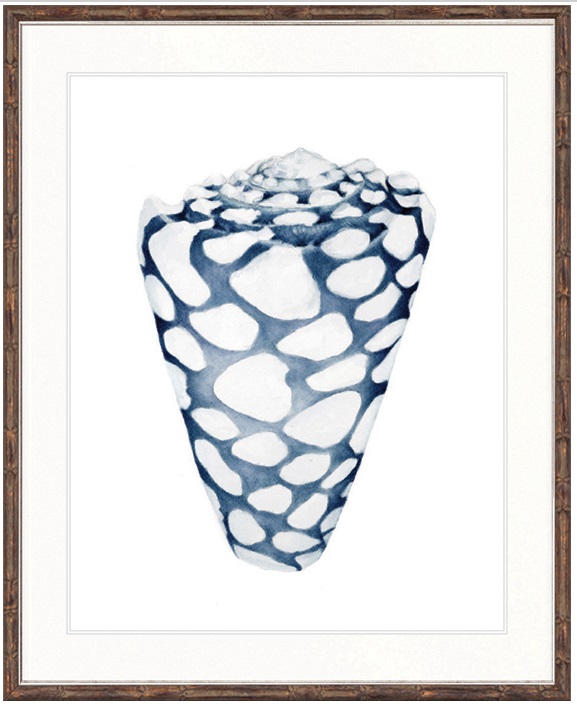 "Designer Boys Collections" Exquisite Shell VI Indigo Blue Artwork, Careel Bay Shell Collection - Image 2