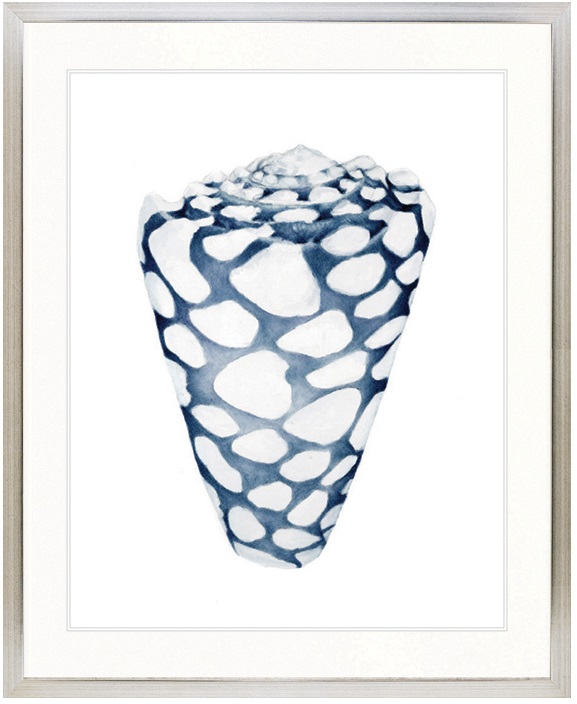"Designer Boys Collections" Exquisite Shell VI Indigo Blue Artwork, Careel Bay Shell Collection - Image 3