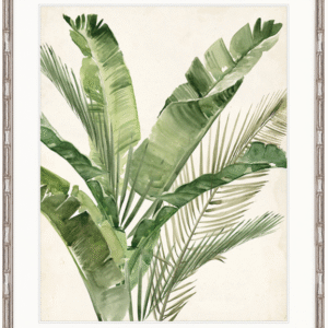 "Designer Boys Collections" Exquisite Palm III Artwork, Del Piero Palm Collection