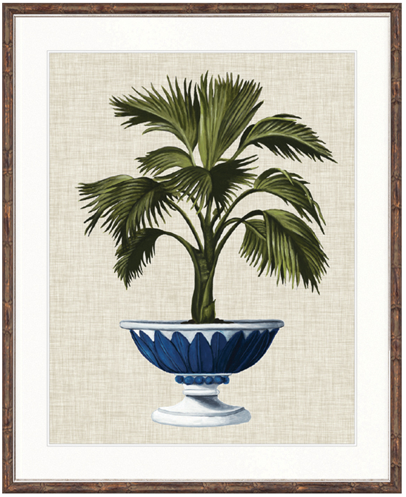 "Designer Boys Collections" Ornate Palm I Artwork, St James Palm Collection - Image 2