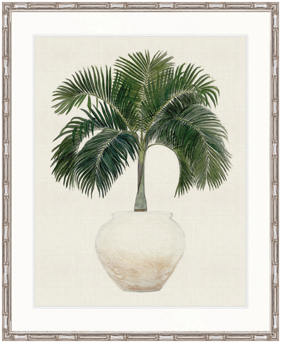 "Designer Boys Collections" Palm Beauty I Artwork, Marsielle Palm Collection