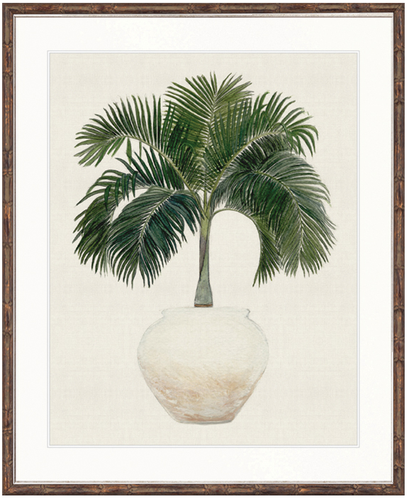 "Designer Boys Collections" Palm Beauty I Artwork, Marsielle Palm Collection - Image 2
