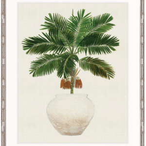 wp-image-tigress-30778.png "Designer Boys Collections" Palm Beauty II Artwork, Marsielle Palm Collection