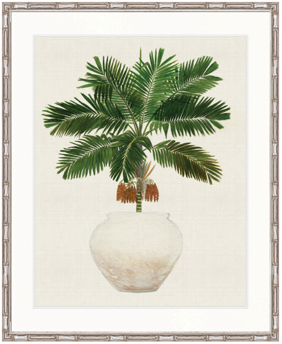 "Designer Boys Collections" Palm Beauty II Artwork, Marsielle Palm Collection