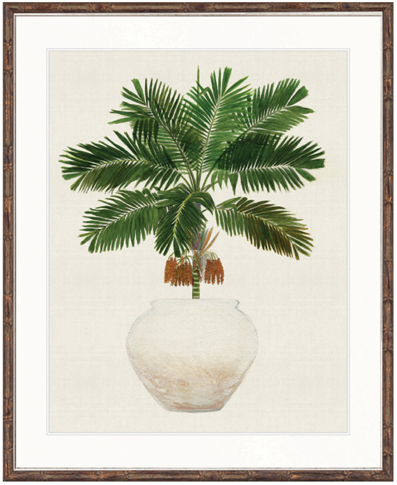 "Designer Boys Collections" Palm Beauty II Artwork, Marsielle Palm Collection - Image 2