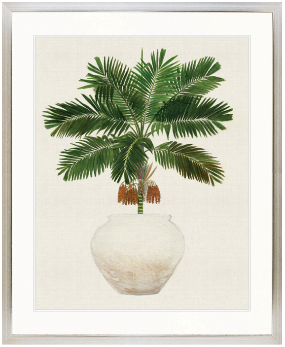 "Designer Boys Collections" Palm Beauty II Artwork, Marsielle Palm Collection - Image 3