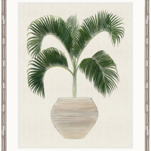 wp-image-tigress-30808.png "Designer Boys Collections" Palm Beauty III Artwork, Marsielle Palm Collection