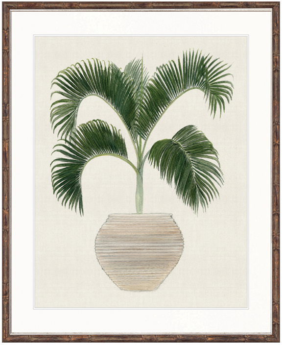 "Designer Boys Collections" Palm Beauty III Artwork, Marsielle Palm Collection - Image 2