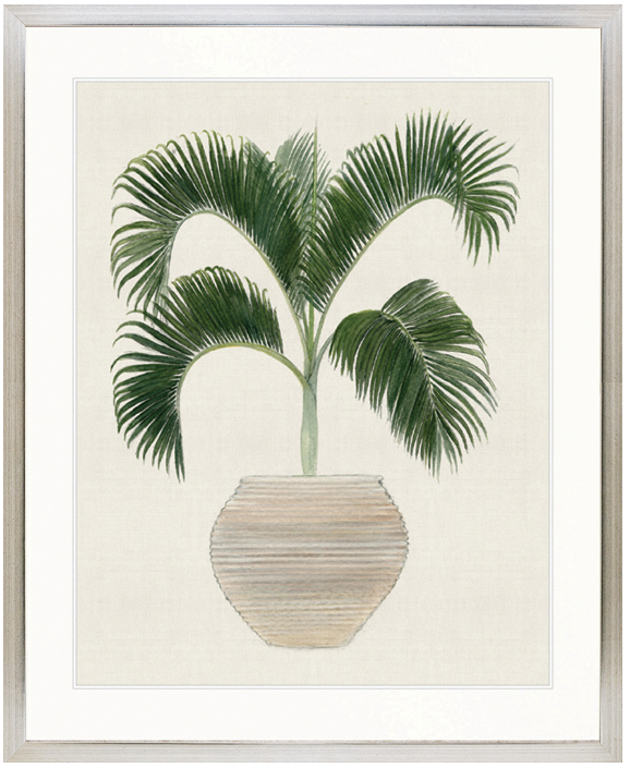 "Designer Boys Collections" Palm Beauty III Artwork, Marsielle Palm Collection - Image 3