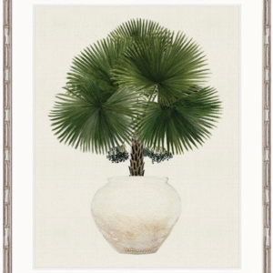 wp-image-tigress-30838.png "Designer Boys Collections" Palm Beauty IV Artwork, Marsielle Palm Collection
