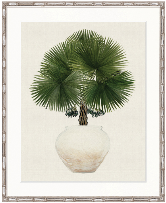 "Designer Boys Collections" Palm Beauty IV Artwork, Marsielle Palm Collection