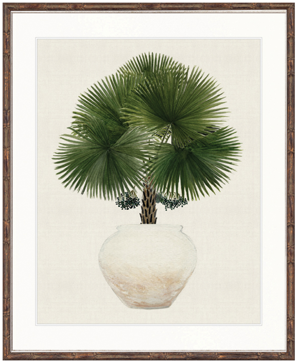 "Designer Boys Collections" Palm Beauty IV Artwork, Marsielle Palm Collection - Image 2