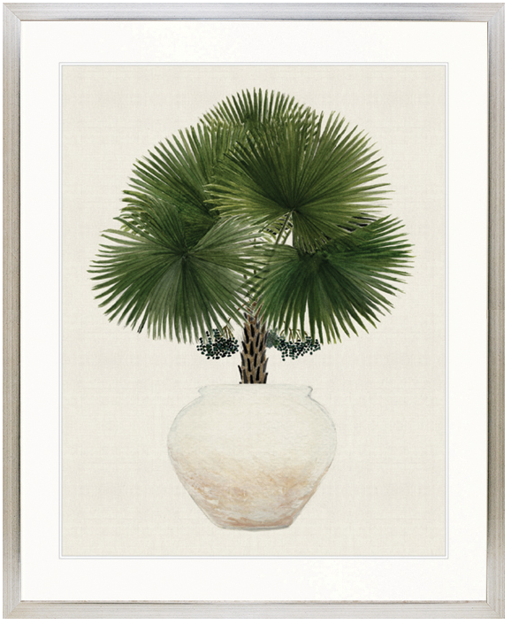 "Designer Boys Collections" Palm Beauty IV Artwork, Marsielle Palm Collection - Image 3