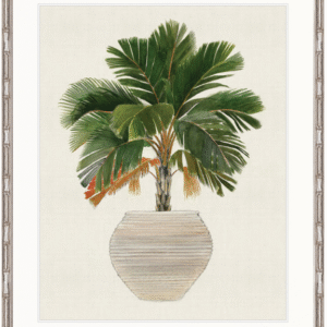 wp-image-tigress-30874.png "Designer Boys Collections" Palm Beauty V Artwork, Marsielle Palm Collection