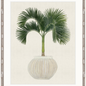 wp-image-tigress-30909.png "Designer Boys Collections" Palm Beauty VI Artwork, Marsielle Palm Collection