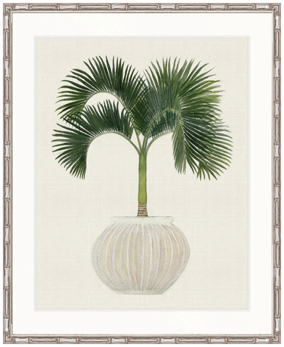 "Designer Boys Collections" Palm Beauty VI Artwork, Marsielle Palm Collection