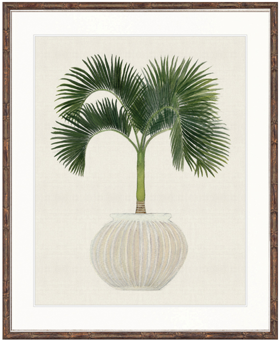 "Designer Boys Collections" Palm Beauty VI Artwork, Marsielle Palm Collection - Image 2