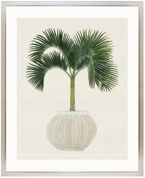 "Designer Boys Collections" Palm Beauty VI Artwork, Marsielle Palm Collection - Image 3
