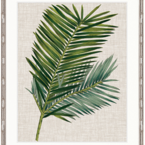 wp-image-tigress-30927.png "Designer Boys Collections" Tropical Evergreen I Artwork, Elysium Tropical Collection