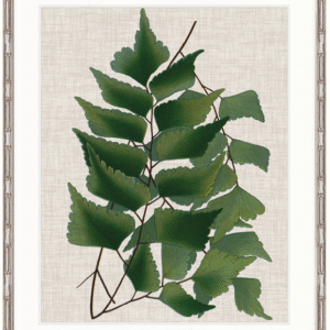 wp-image-tigress-30945.png "Designer Boys Collections" Tropical Evergreen II Artwork, Elysium Tropical Collection