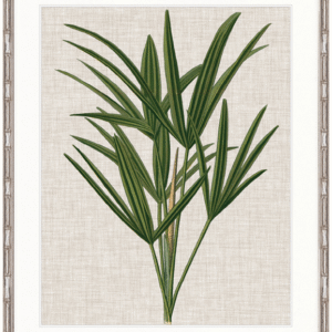 wp-image-tigress-30963.png "Designer Boys Collections" Tropical Evergreen III Artwork, Elysium Tropical Collection