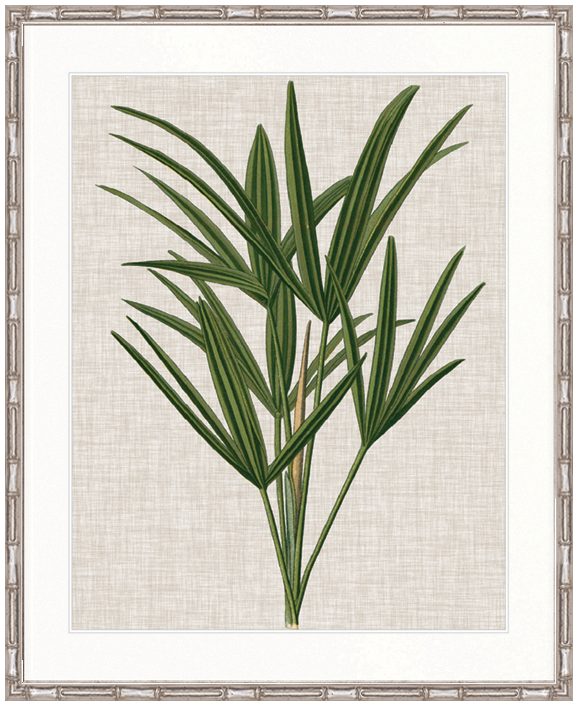 "Designer Boys Collections" Tropical Evergreen III Artwork, Elysium Tropical Collection
