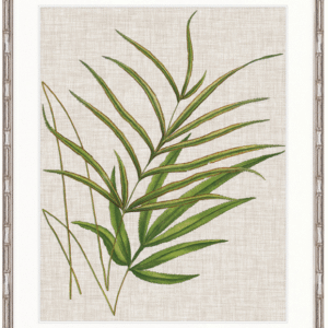 wp-image-tigress-30999.png "Designer Boys Collections" Tropical Evergreen V Artwork, Elysium Tropical Collection