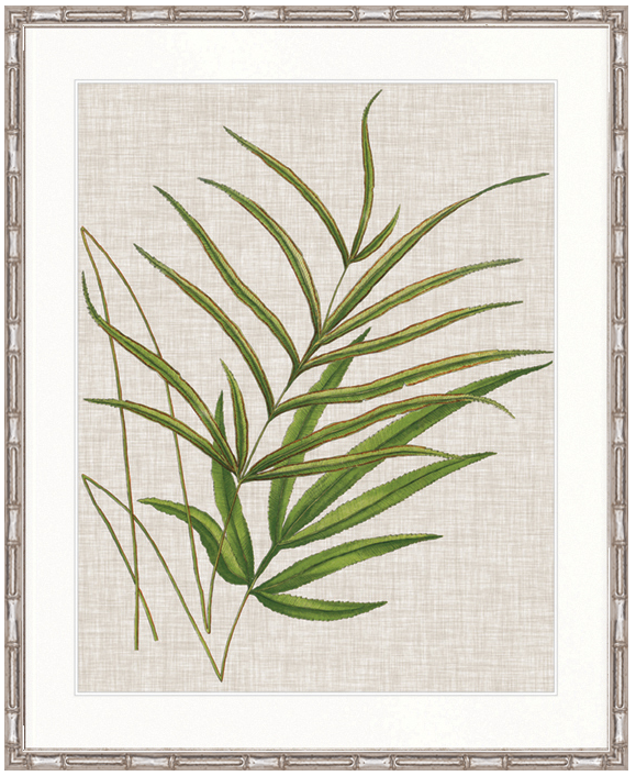 "Designer Boys Collections" Tropical Evergreen V Artwork, Elysium Tropical Collection