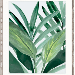 wp-image-tigress-31479.png "Designer Boys Collections" Shalla Tropic I Artwork, Shalla Foliage Collection