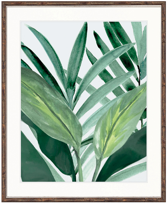 "Designer Boys Collections" Shalla Tropic I Artwork, Shalla Foliage Collection - Image 2