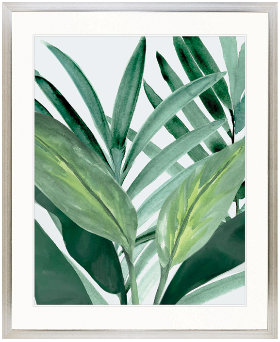 "Designer Boys Collections" Shalla Tropic I Artwork, Shalla Foliage Collection - Image 3