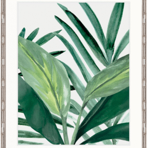 wp-image-tigress-31492.png "Designer Boys Collections" Shalla Tropic II Artwork, Shalla Foliage Collection
