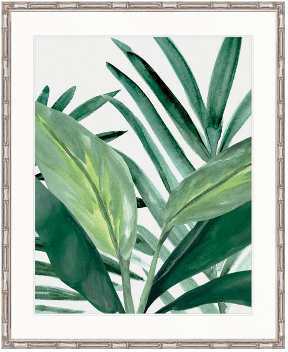 "Designer Boys Collections" Shalla Tropic II Artwork, Shalla Foliage Collection