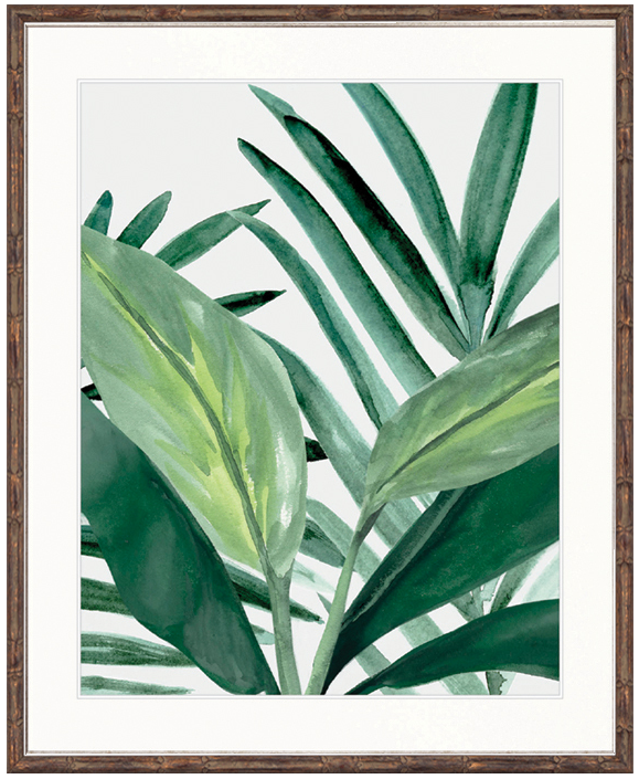 "Designer Boys Collections" Shalla Tropic II Artwork, Shalla Foliage Collection - Image 2