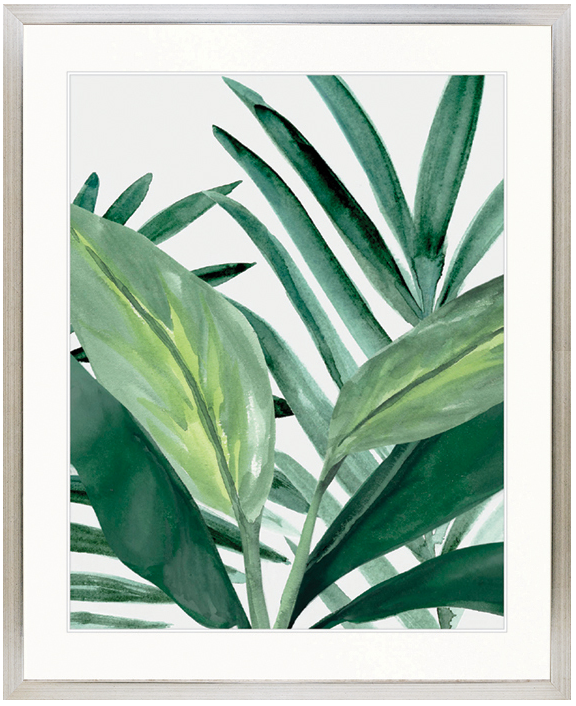 "Designer Boys Collections" Shalla Tropic II Artwork, Shalla Foliage Collection - Image 3