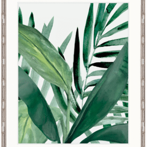 wp-image-tigress-31504.png "Designer Boys Collections" Shalla Tropic III Artwork, Shalla Foliage Collection
