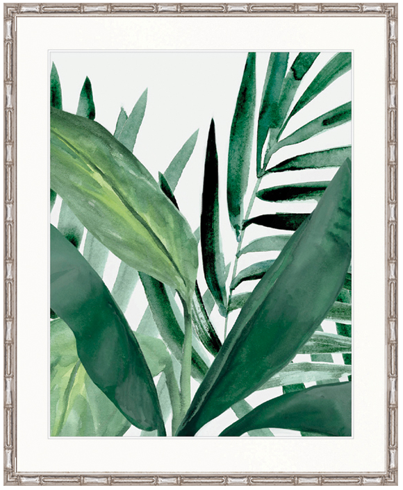 "Designer Boys Collections" Shalla Tropic III Artwork, Shalla Foliage Collection